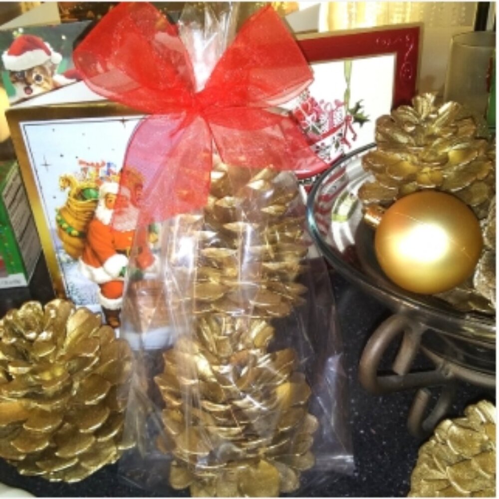 Gold Pinecones Christmas-2 Large 4in for Crafts-Table Settings-Cheesboards-Gifts